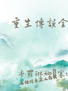 重生传说金手指