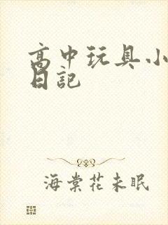 高中玩具小诗的日记