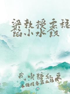 梁教授要稳住肉馅小水饺