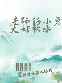 老师的小兔子好大好软水