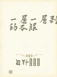 一层一层剥开你的衣服