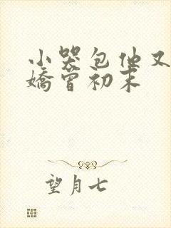 小哭包他又软又娇曾初末