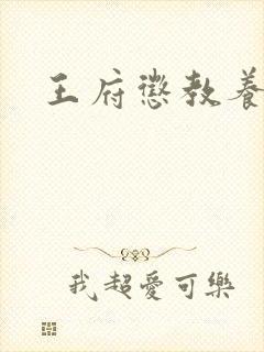 王府惩教养日常