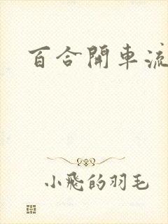 百合开车流污水