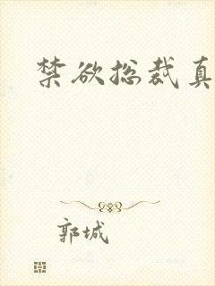 禁欲总裁真能干