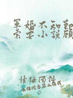 军婚不知节制地索要小说顾念