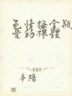 色情梅金瓶2之爱的裸体