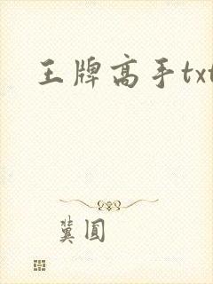 王牌高手txt