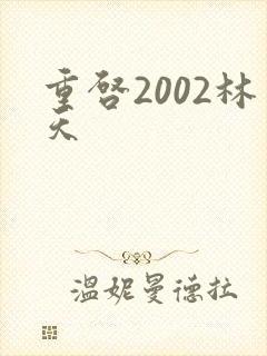 重启2002林天