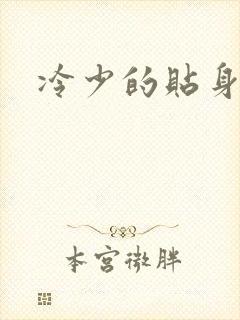 冷少的贴身女人