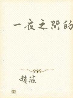 一夜之间的天才