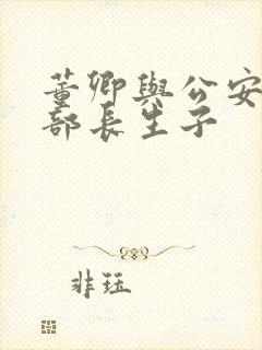 董卿与公安部副部长生子