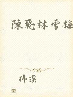陈飞林雪梅