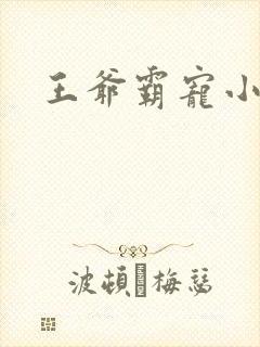 王爷霸宠小甜妻