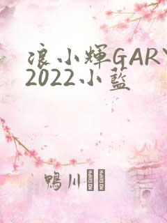 浪小辉GARY2022小蓝