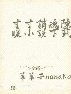 寸寸销魂陈聪王暖小说下载