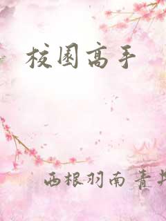 校园高手