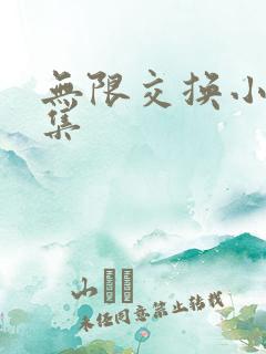 无限交换小说全集