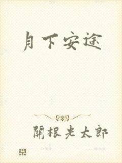 月下安途