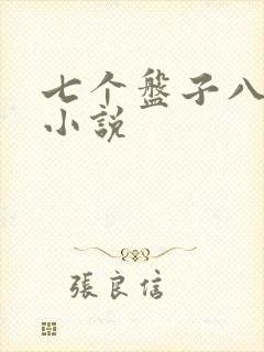 七个盘子八个碗小说