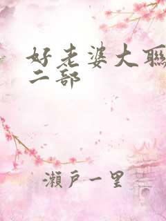 好老婆大联盟第二部