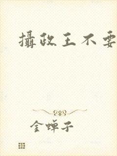 摄政王不要