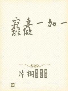 宠妻一加一老婆难做