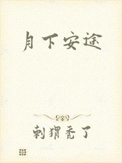 月下安途