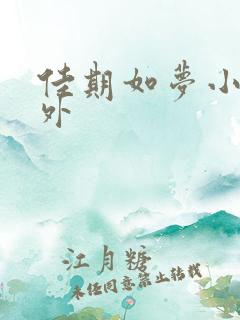 佳期如梦小说番外