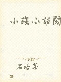 小强小说阅读网