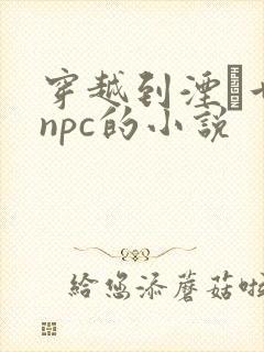 穿越到湮婸世界npc的小说