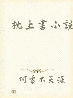 枕上书小说