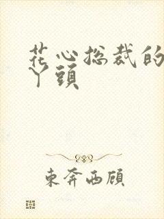 花心总裁的小小丫头