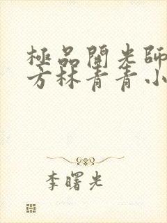 极品开光师李南方林青青小说免费阅读