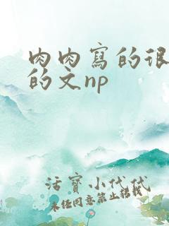 肉肉写的很细致的文np