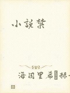 小说禁