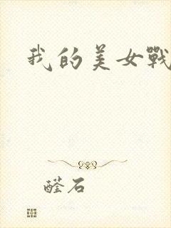 我的美女战队