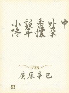 小说番外中结局佟年怀孕