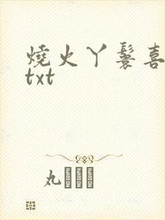烧火丫鬟喜洋洋txt