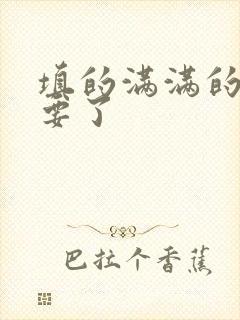 填的满满的 不要了