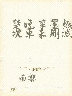 楚晚宁墨燃第一次车未删减