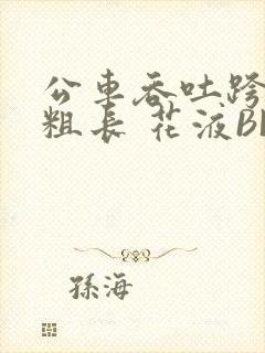 公车吞吐跨坐 粗长 花液BL