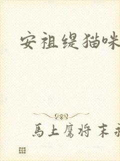 安祖缇猫咪抱抱