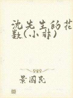 沈先生的花式调数(小非)