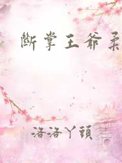 断掌王爷柔水妃