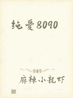 纯爱8090