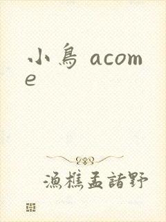 小鸟 acome