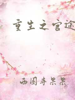 重生之官途风流