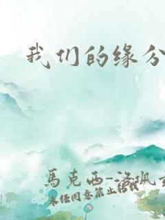 我们的缘分小说