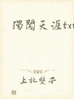独闯天涯txt